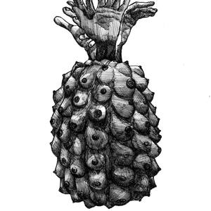 Collection Pineapple