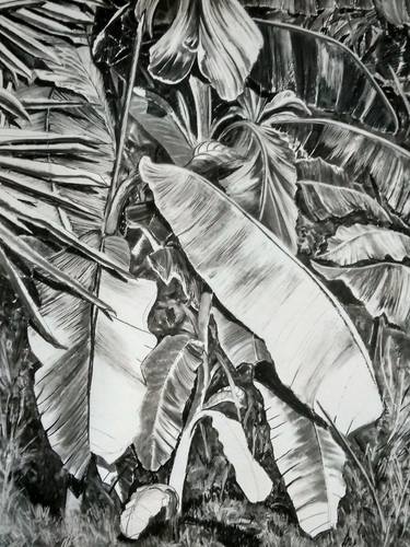 Thick Jungle (Charcoal Drawing) thumb