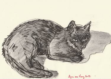 Print of Cats Drawings by Agnes von Uray