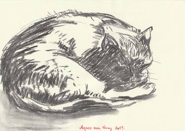 Print of Fine Art Cats Drawings by Agnes von Uray