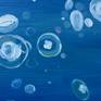 I was inspired by the colorfulness of the underwater world. Water has many shades of blue and to make a color harmony I chose jellyfishes with their vibrant colors for the contrast.