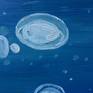 I was inspired by the colorfulness of the underwater world. Water has many shades of blue and to make a color harmony I chose jellyfishes with their vibrant colors for the contrast.