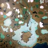 Collection Coordinates