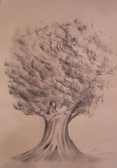 Original Tree Drawings by Cris Tiano