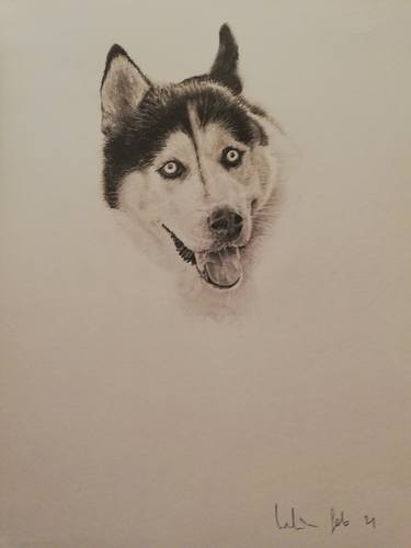 Hãy cùng chiêm ngưỡng bức tranh tuyệt đẹp về chú chó dễ thương vẽ bằng bút chì chuyên dụng. Chắc chắn bạn sẽ bị cuốn hút bởi độ chi tiết và sự tinh tế của họa sĩ trong cách vẽ con chó này.