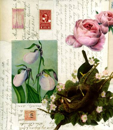 Print of Fine Art Nature Collage by Thomas Terceira