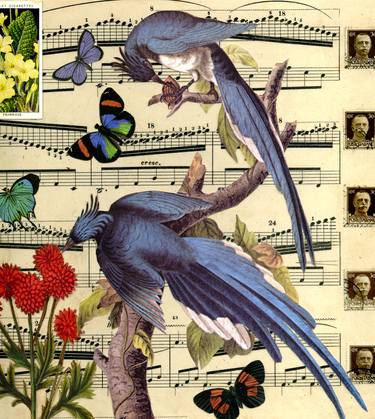 Print of Nature Collage by Thomas Terceira