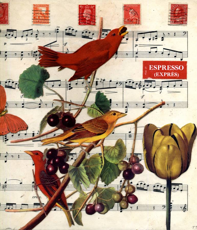 Print of Fine Art Nature Collage by Thomas Terceira