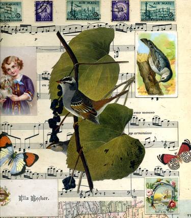 Print of Nature Collage by Thomas Terceira