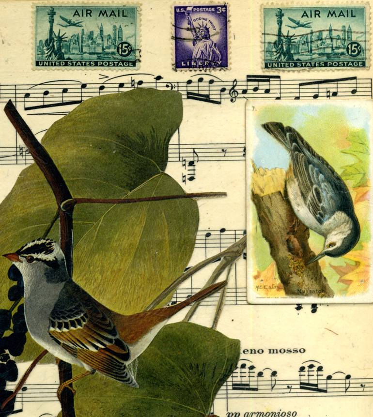 Original Fine Art Nature Collage by Thomas Terceira