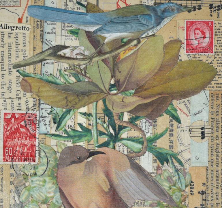 Original Fine Art Botanic Collage by Thomas Terceira
