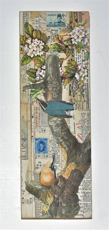 Original Nature Collage by Thomas Terceira