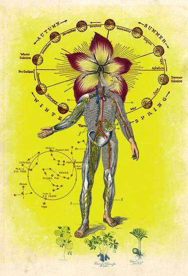 Print of Dada Science/Technology Mixed Media by Thomas Terceira