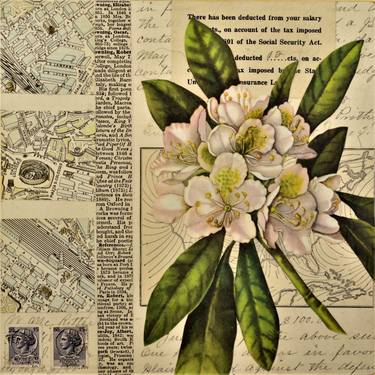 Original Botanic Collage by Thomas Terceira