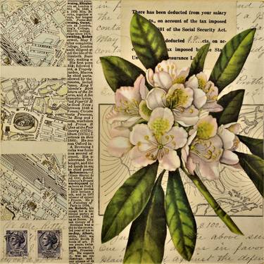 Original Fine Art Botanic Collage by Thomas Terceira