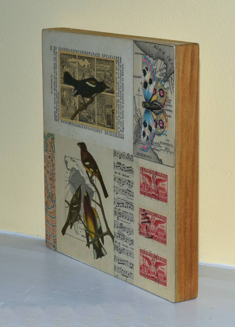 Original Illustration Nature Collage by Thomas Terceira