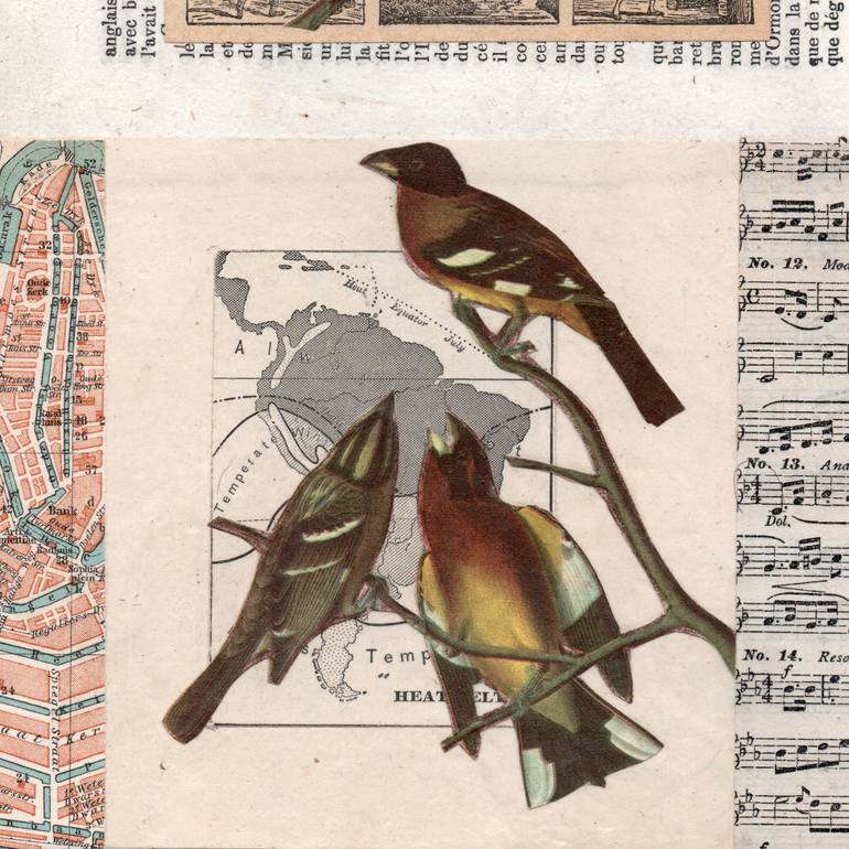 Original Illustration Nature Collage by Thomas Terceira