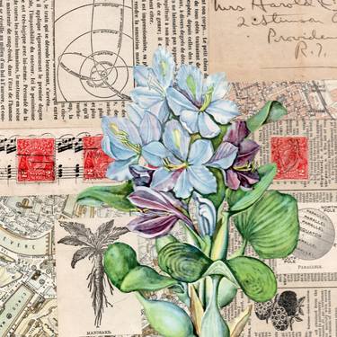 Original Fine Art Floral Collage by Thomas Terceira