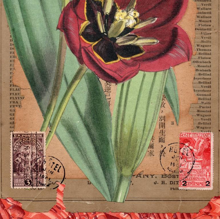 Original Fine Art Botanic Collage by Thomas Terceira