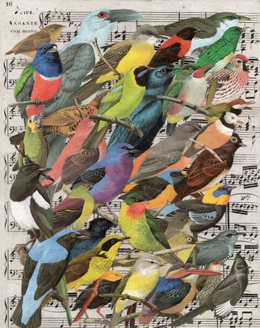 Print of Animal Collage by Thomas Terceira