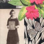 Garden Journal by Thomas Terceira