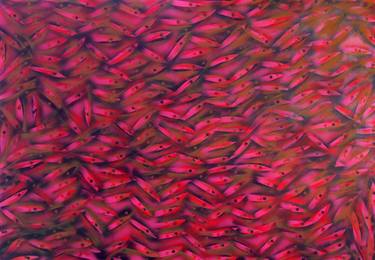 Original Abstract Fish Paintings by Roberto Del Fabbro