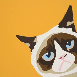 Collection Color Theory: Energizing Hues