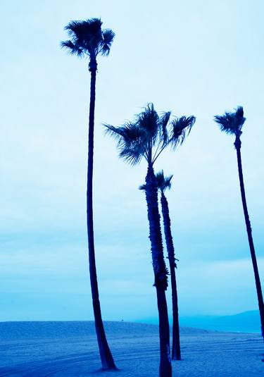 Venice Beach Blue Palmtrees II - Limited Edition of 15 thumb