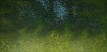 Original Abstract Water Painting by Tomek Mistak