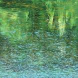 Collection New This Week 10-27-2025