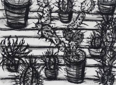 Print of Fine Art Nature Drawings by Maria Pelton