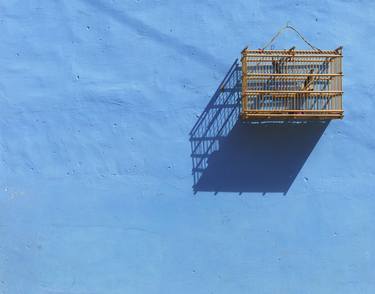 Caged Bird on a Blue Wall.  Limited Edition. 1 of 6. thumb