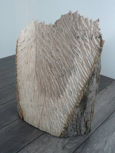 Original Abstract Nature Sculpture by Daniel Schneider