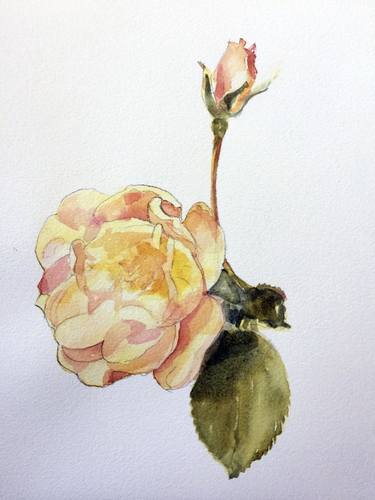 Original Fine Art Floral Paintings by kathleen burke