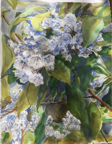Original Impressionism Botanic Paintings by kathleen burke