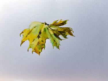 maple leaf thumb