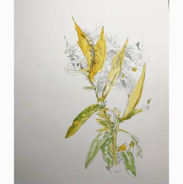 Print of Fine Art Botanic Paintings by kathleen burke