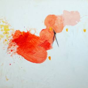 Dana Claudat (Feng Shui Expert)