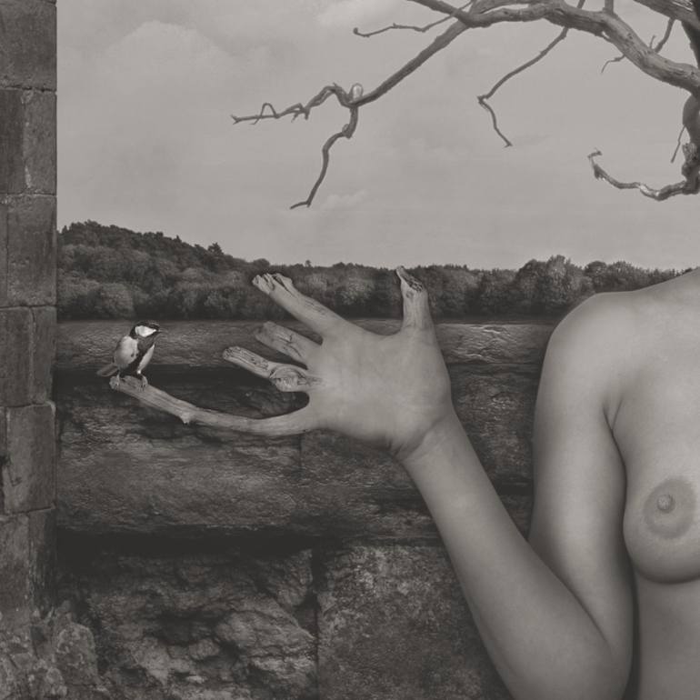 Original Figurative Nude Photography by Dominic Rouse