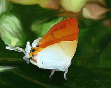 butterfly painting1 thumb