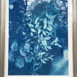 SUNPRINT-Snow Ball - Limited Edition 1 of 1