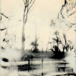 SpiritScape 9 - Limited Edition 1 of 4