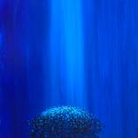 TOUCHED BY THE BLUE by Alessandro Piras