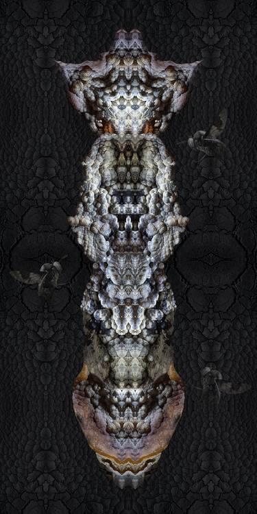 Original Contemporary Fantasy Photography by David Fenton