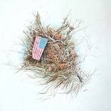 Flag in the Woods by James Gwynne
