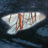 Parking Lot Puddle by James Gwynne