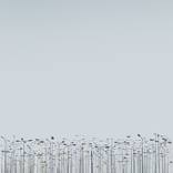 Collection Robert Houzer