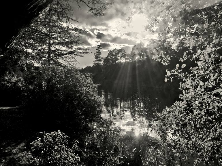 Franklin Canyon Lake #1 - Print