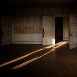 Shadowman by Palace Hub Gallery