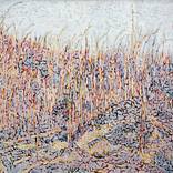 corn field-6 by huyan hu